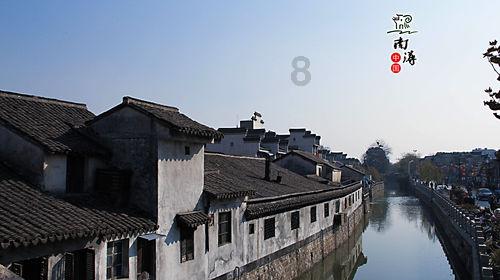 重生之玫瑰豪门